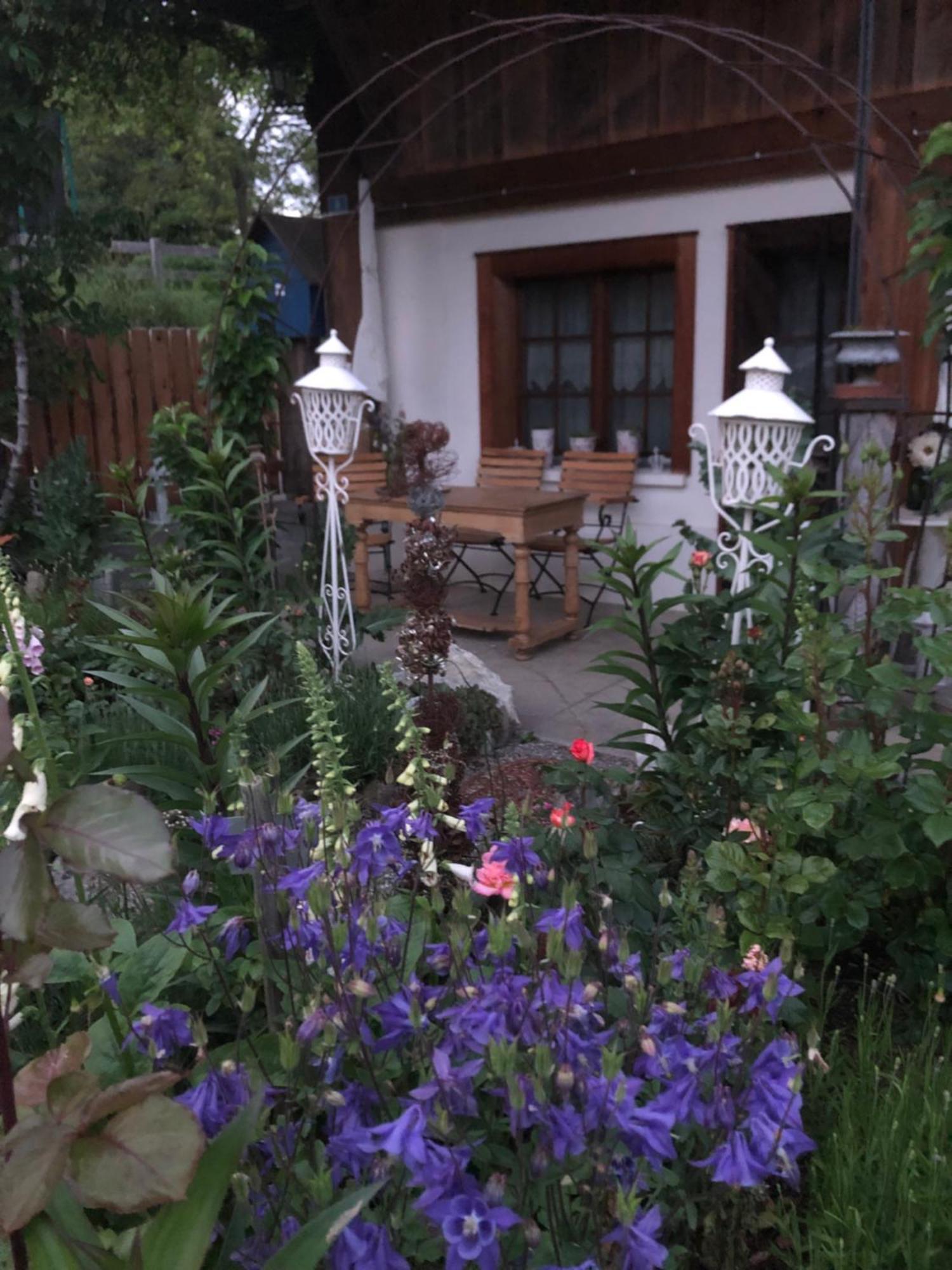 Rosenhuesli Appartement